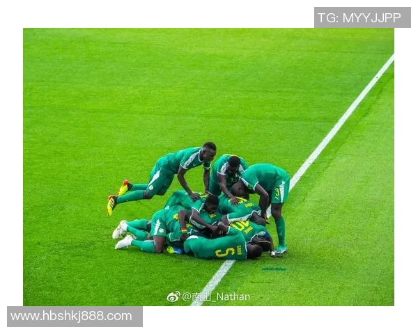 杭州排球队逆袭之路揭秘世界杯预选赛背后的拼搏与荣耀